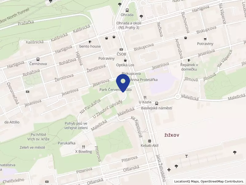 RAMALE s.r.o., U zásobní zahrady 1774/15, 13000 Praha 3 - Žižkov, IČO 27915948