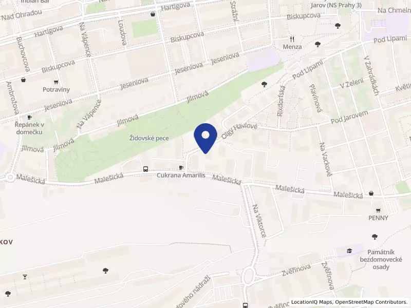 kitikate s.r.o., Olgy Havlové 2930/39, 13000 Praha 3 - Žižkov, IČO 05648548