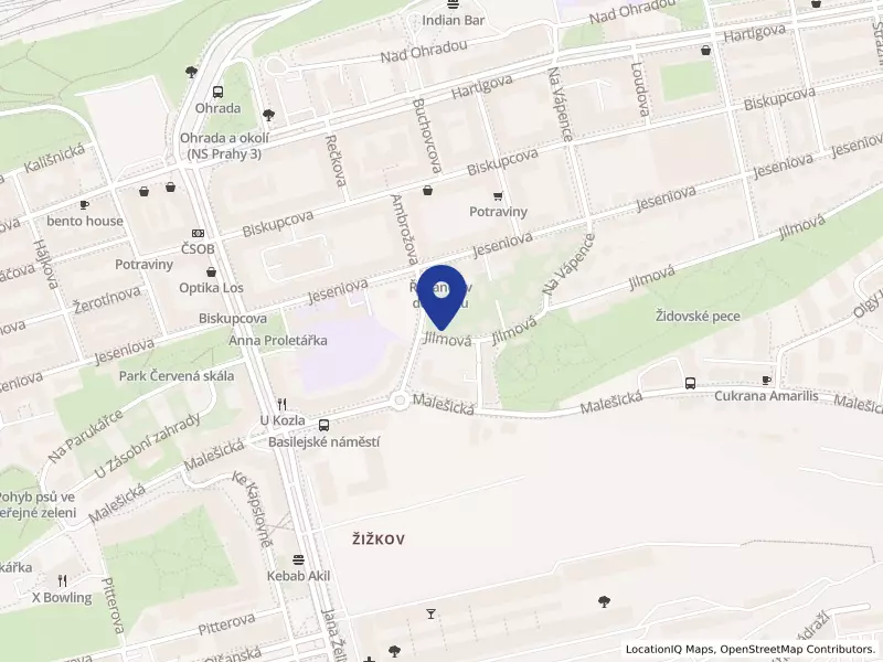 Elm street consulting s.r.o., Praha, Jilmová 1434/3, 13000 Praha 3 - Žižkov, IČO 09544836