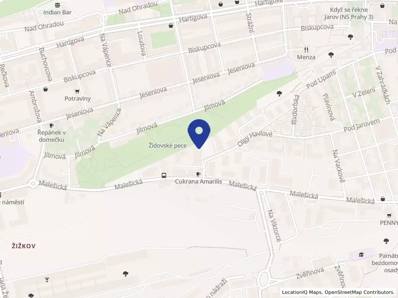 Chaus BH s.r.o., Olgy Havlové 2917/36, 13000 Praha 3 - Žižkov, IČO 07184794