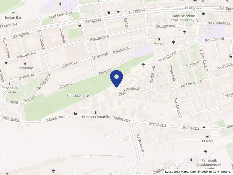 GourmetKava s.r.o., Praha, Dagmar Burešové 2925/10, 13000 Praha 3 - Žižkov, IČO 03724034