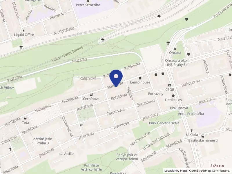 Boca cowork s.r.o., Praha, Hartigova 1131/88, 13000 Praha 3 - Žižkov, IČO 07860421