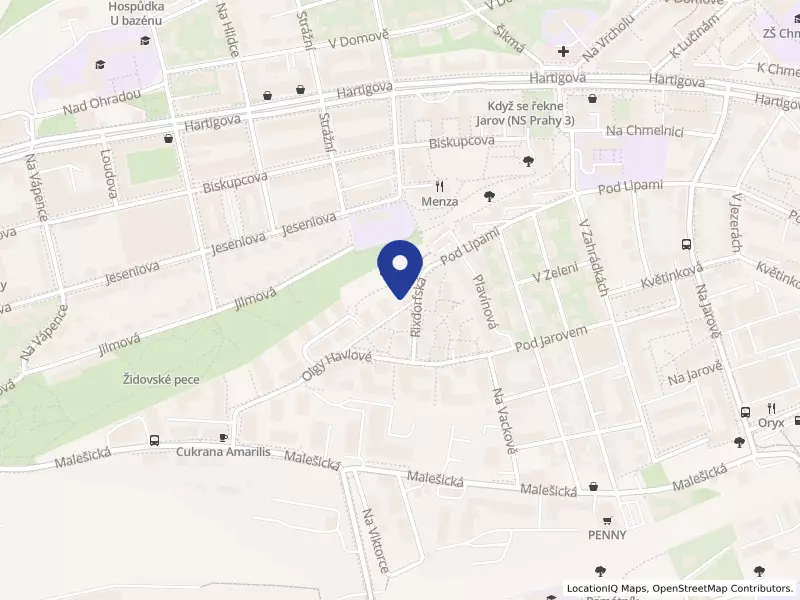 Studio Alma s.r.o., Rixdorfská 2924/2, 13000 Praha 3 - Žižkov, IČO 19963777