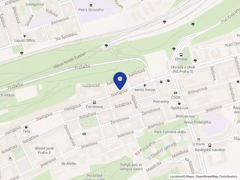Czech Partners Group s.r.o., Hartigova 1206/87, 13000 Praha 3 - Žižkov, IČO 03629783