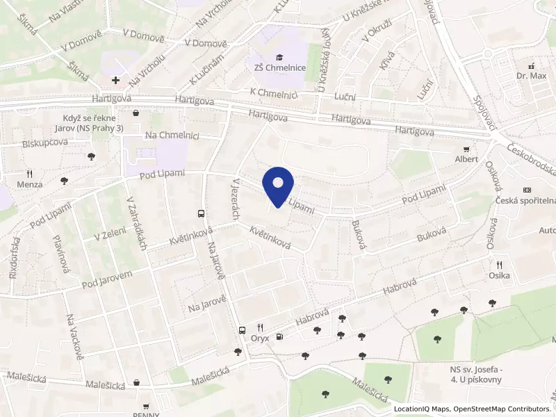 Ošetřovatelský domov Praha 3, Pod lipami 2570/44, 13000 Praha 3 - Žižkov, IČO 65990641
