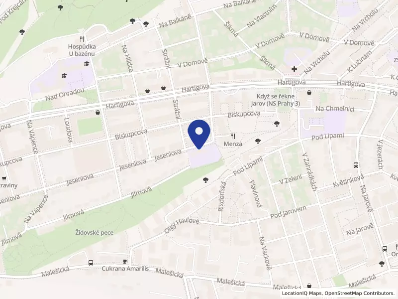 Mateřská škola U Veverek, Jeseniova 2686/204, 13000 Praha 3 - Žižkov, IČO 65993179