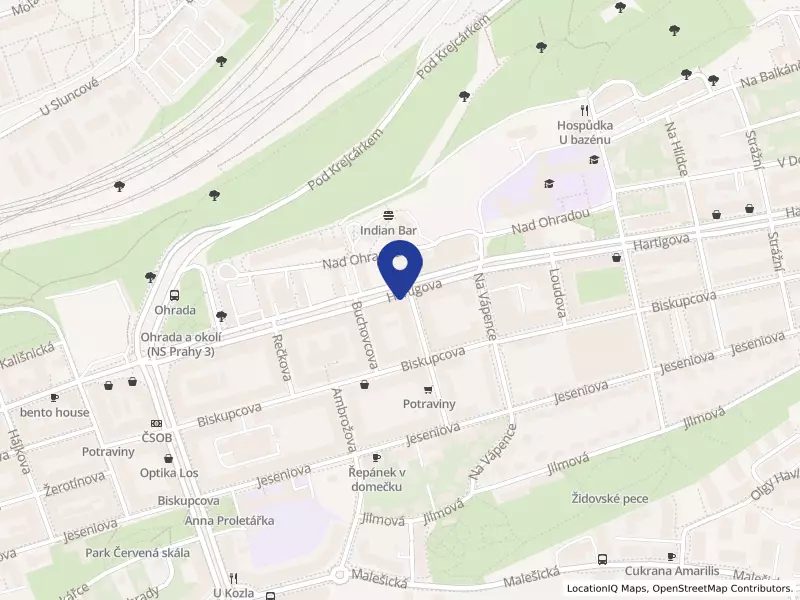 Distribuovaná Klinika s.r.o., Hartigova 1604/144, 13000 Praha 3 - Žižkov, IČO 04145186