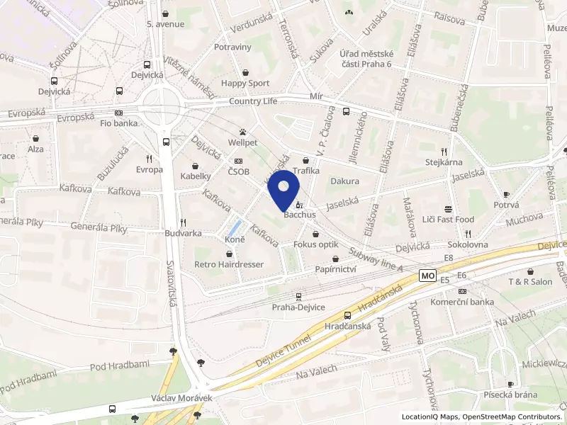 Pizzeria Erico s.r.o., Dejvická 316/15, 16000 Praha 6 - Dejvice, IČO 27864405