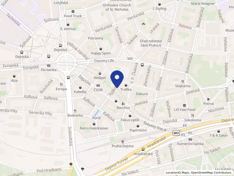 CHEN JIE NA s.r.o., Kyjevská 509/12, 16000 Praha 6 - Bubeneč, IČO 24132632