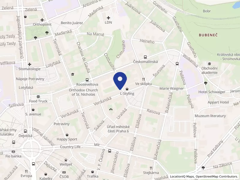 BARSINI, s.r.o., U zeměpisného ústavu 505/1, 16000 Praha 6 - Bubeneč, IČO 25131117