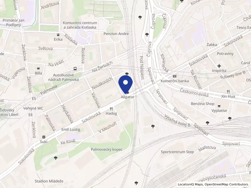 Hara-gym s.r.o., Sokolovská 2170/161, 18000 Praha 8 - Libeň, IČO 05848873