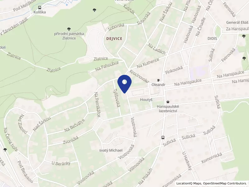 ANF CZ, s.r.o., Praha, Vostrovská 787/45, 16000 Praha 6 - Dejvice, IČO 28532139
