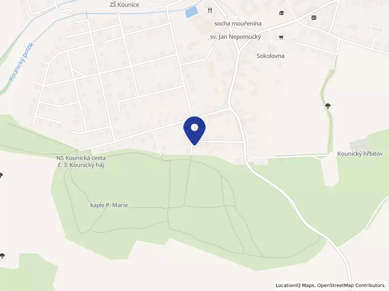 Dejean Partners s.r.o., 271, 28915 Kounice - Kounice, IČO 05541867