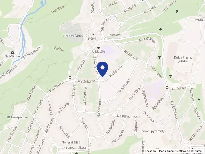 Business Friends s.r.o., Na Kodymce 25/14, 16000 Praha 6 - Dejvice, IČO 09050027