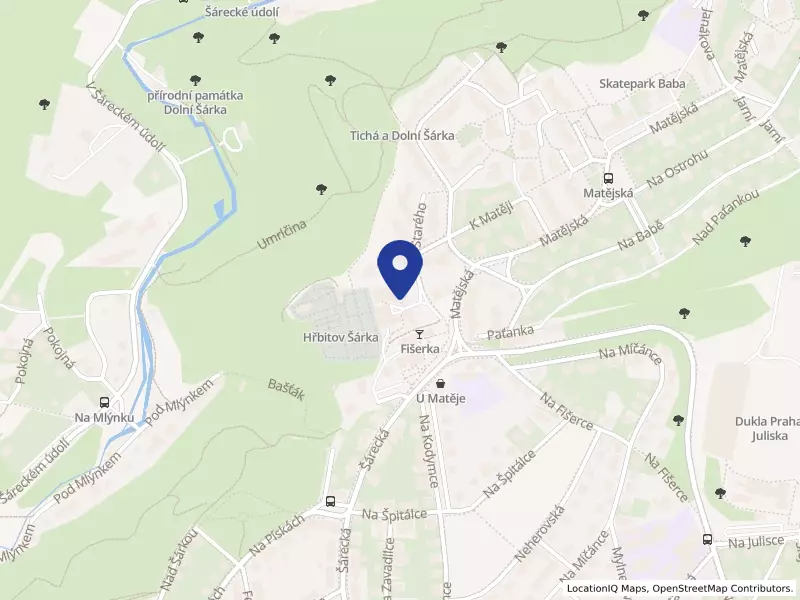 CENTRUM PETRA HAVLÍČKA s.r.o., U Matěje 24/5, 16000 Praha 6 - Dejvice, IČO 24288233