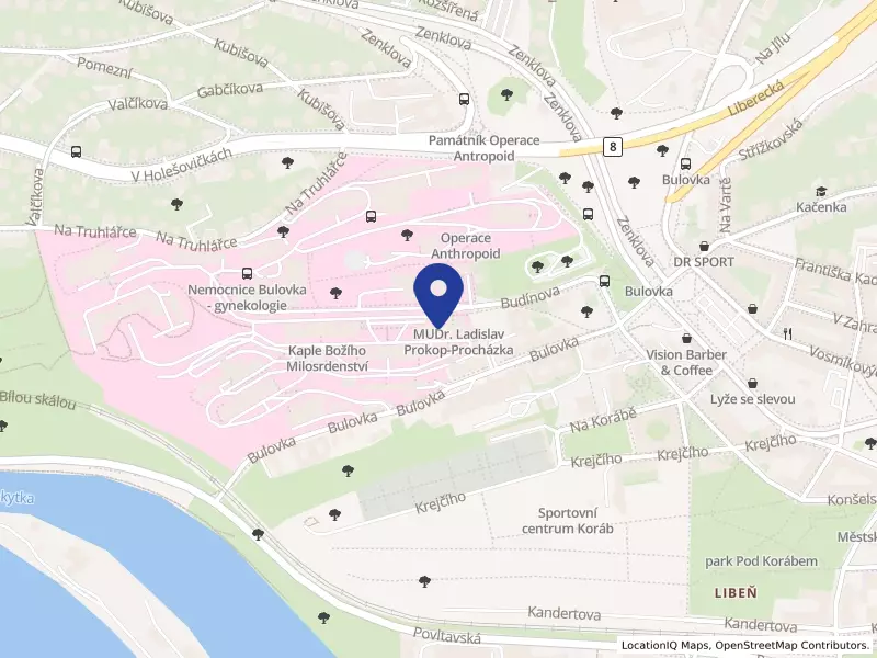 Fakultní nemocnice Bulovka, Budínova 67/2, 18000 Praha 8 - Libeň, IČO 00064211