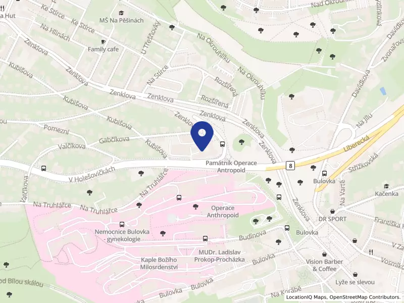 Ústav struktury a mechaniky hornin AV ČR, v. v. i., V Holešovičkách 94/41, 18200 Praha 8 - Libeň, IČO 67985891