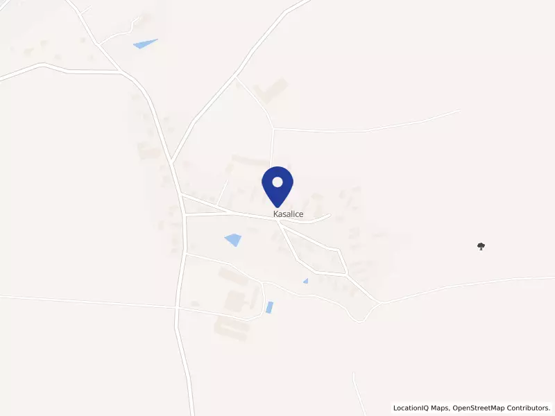 E-dir s.r.o., 1, 53341 Kasalice - Kasalice, IČO 25995138