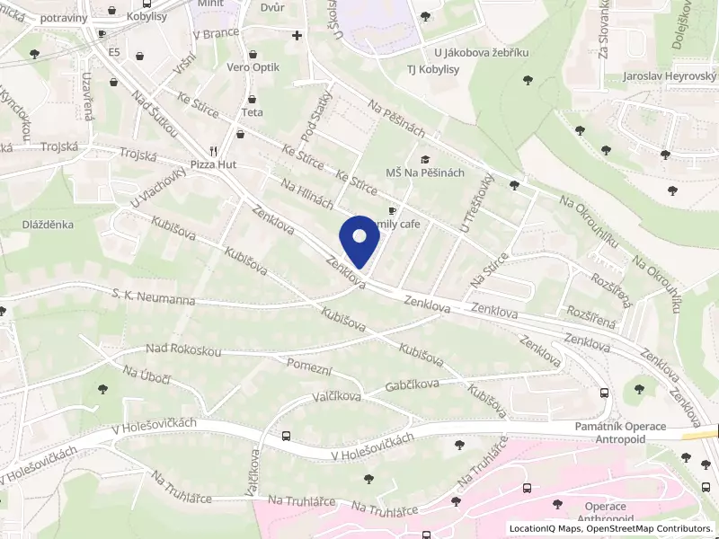 PING XIU s.r.o., Zenklova 131/222, 18200 Praha 8 - Kobylisy, IČO 28983173