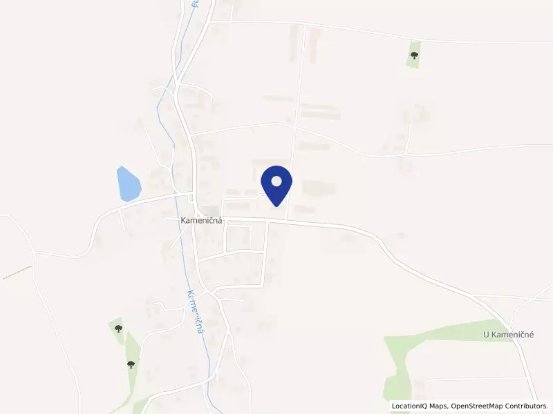VIKA Kameničná a.s., 100, 56401 Kameničná - Kameničná, IČO 25252097