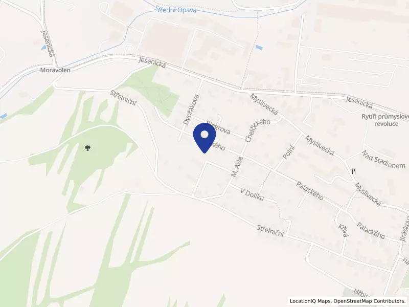 Dřevovýroba Praděd s.r.o., M. Alše 615, 79326 Vrbno pod Pradědem - Vrbno pod Pradědem, IČO 25847546