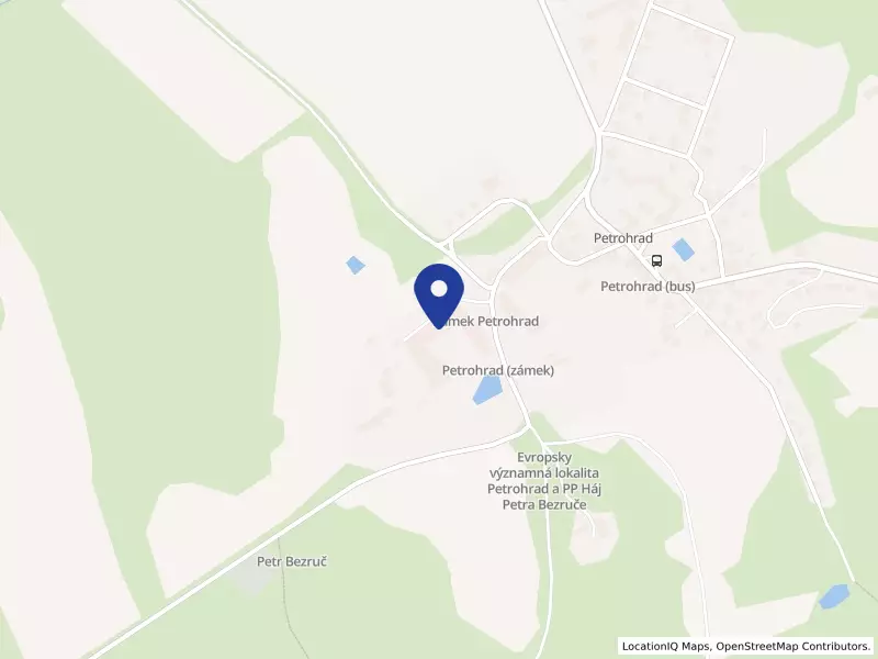 Psychiatrická léčebna Petrohrad, příspěvková organizace, 1, 43985 Petrohrad - Petrohrad, IČO 00829137