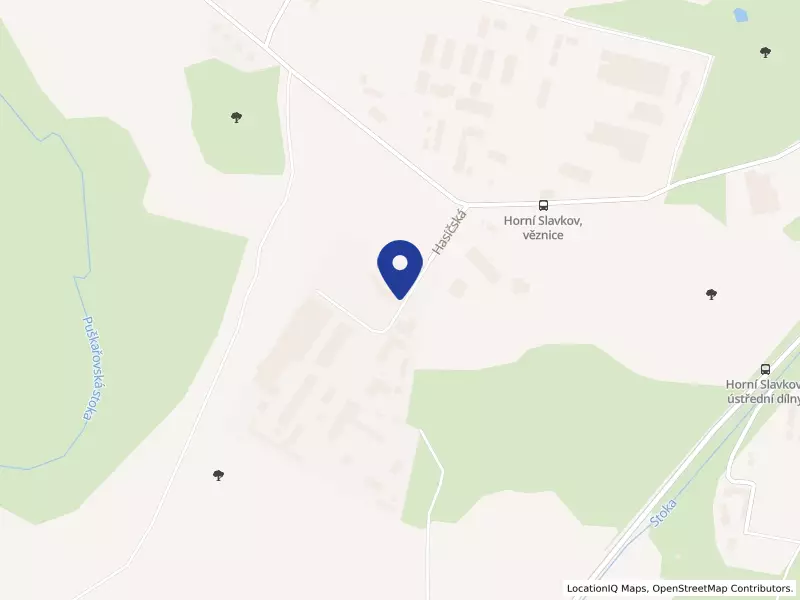 Tamala system a.s., Hasičská 870, 35731 Horní Slavkov - Horní Slavkov, IČO 04508149