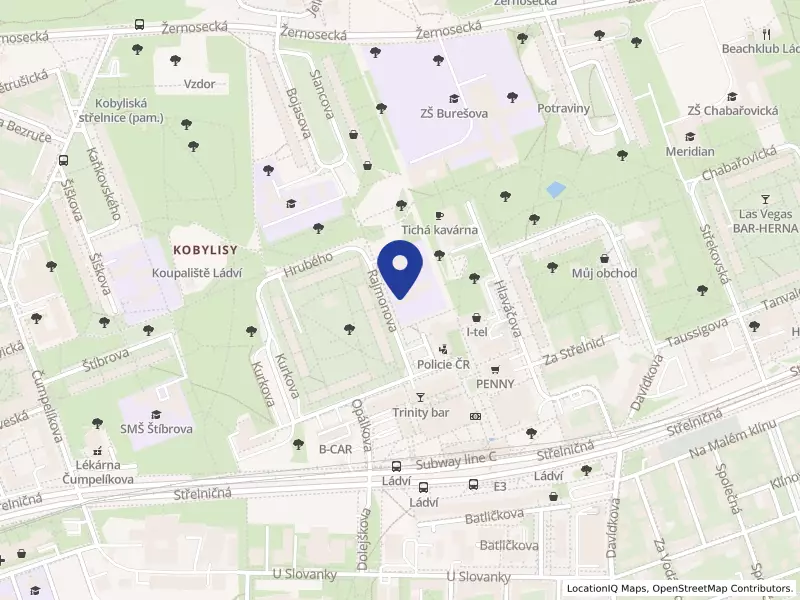 Heřmánek Praha, základní škola a gymnázium, Rajmonova 1199/4, 18200 Praha 8 - Kobylisy, IČO 04288939