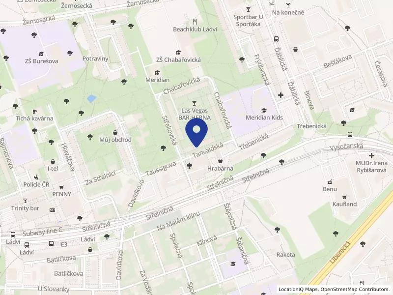 1337 Solutions s.r.o., Tanvaldská 1337/5, 18200 Praha 8 - Kobylisy, IČO 01406426