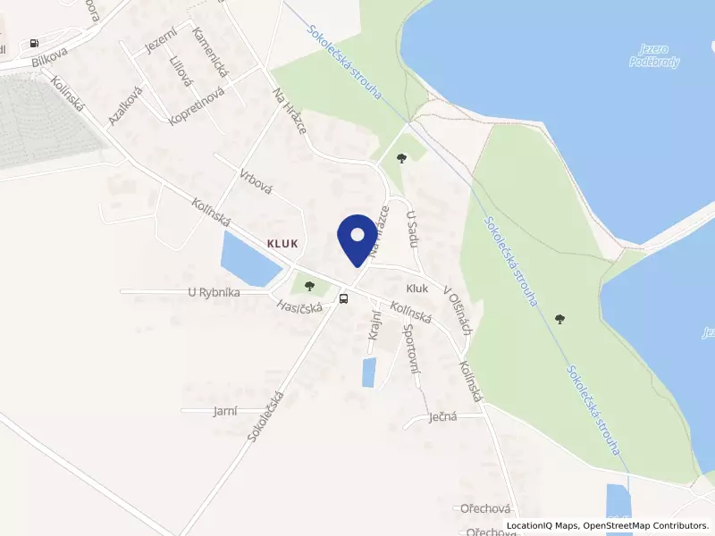 PROSPED s.r.o., Na Hrázce 22, 29001 Poděbrady - Kluk, IČO 01682326