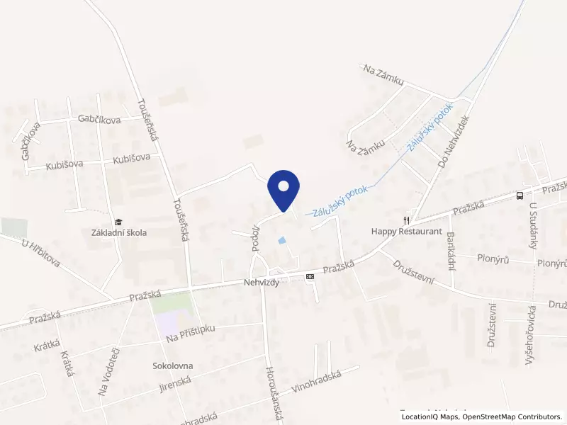 DNA CENTRAL EUROPE, s.r.o., Podolí 30, 25081 Nehvizdy - Nehvizdy, IČO 47549459