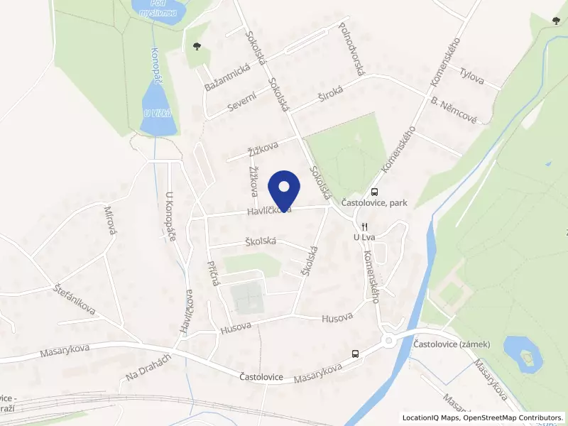 Chlebný, s.r.o., Častolovice, Havlíčkova 175, 51750 Častolovice - Častolovice, IČO 27462676