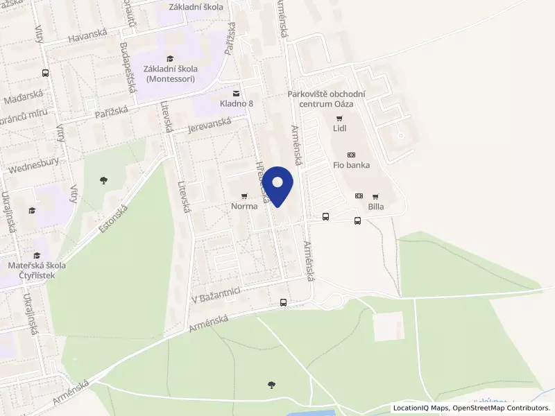 Speciální pečovatelská služba z. s., Hřebečská 2680, 27201 Kladno - Kročehlavy, IČO 48707783