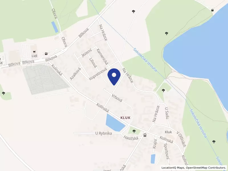 PROFI HYPPO, s.r.o., Heřmánková 261, 29001 Poděbrady - Kluk, IČO 27888495