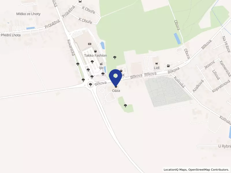Maděra a Šípek, spol. s r.o., Bílkova 116, 29001 Poděbrady - Kluk, IČO 45144664