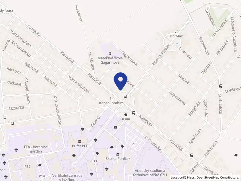 SYVMILA CENTRUM s.r.o., Praha, Brandejsovo náměstí 433/7, 16500 Praha 6 - Suchdol, IČO 08026343