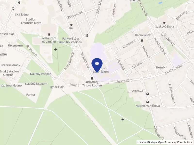 Sportovní gymnázium, Kladno, Plzeňská 3103, Plzeňská 3103, 27201 Kladno - Kročehlavy, IČO 61894737