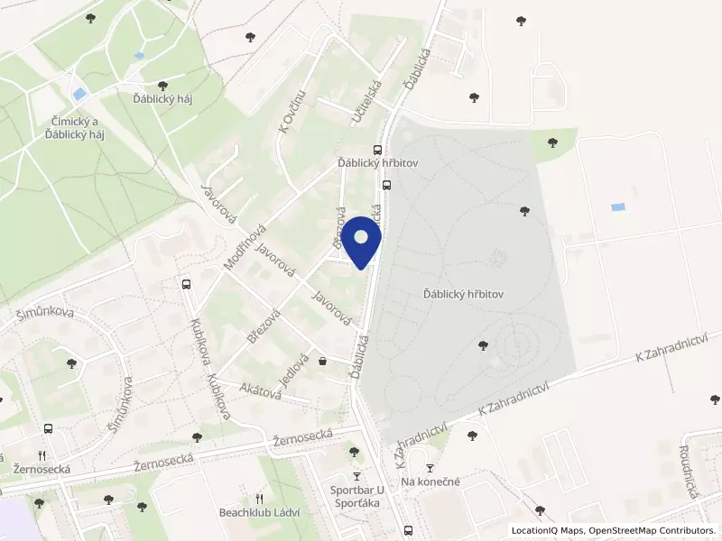 DSi studio, s.r.o., Kaštanová 965/1, 18200 Praha 8 - Kobylisy, IČO 28795008