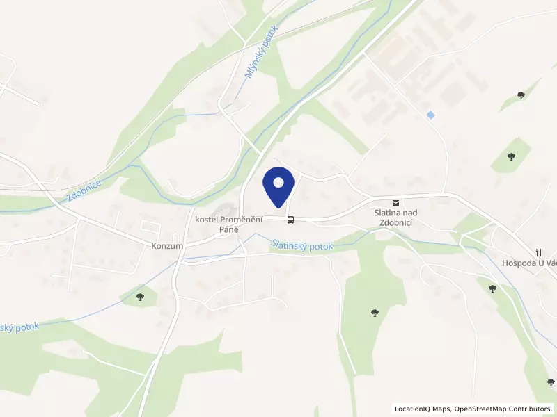Základní škola a Mateřská škola Slatina nad Zdobnicí, 45, 51756 Slatina nad Zdobnicí - Slatina nad Zdobnicí, IČO 70980730