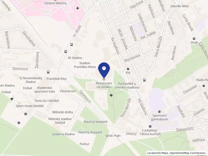 HoTa spol. s r.o., Hokejových legend 2531, 27201 Kladno - Kladno, IČO 48950068