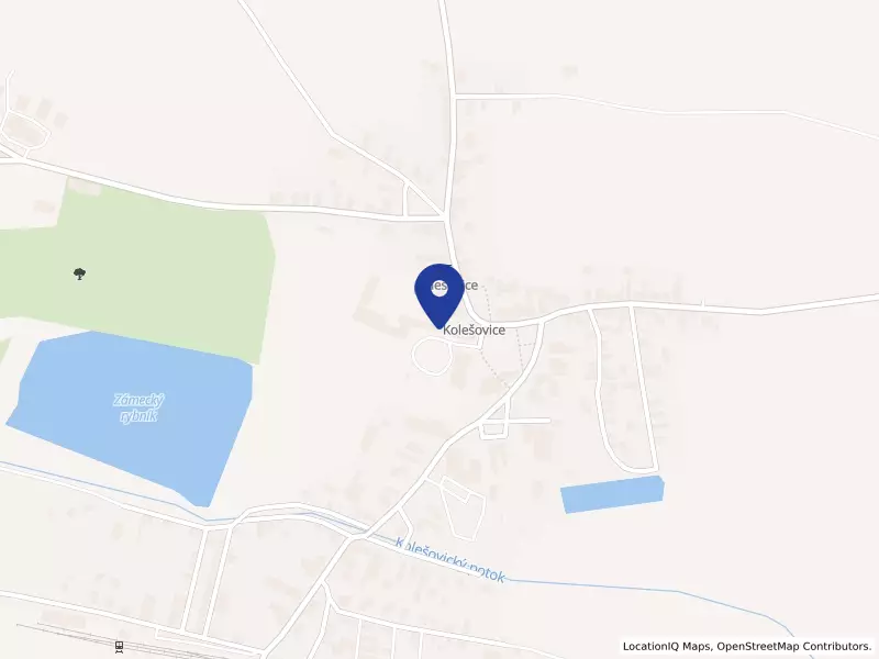 Domov Kolešovice, poskytovatel sociálních služeb, 180, 27002 Kolešovice - Kolešovice, IČO 71209905