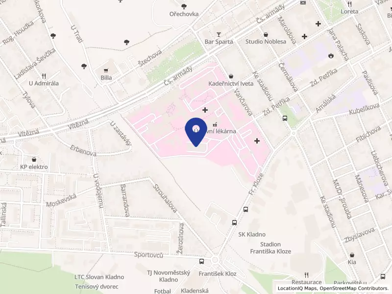 Zdravotnická záchranná služba Středočeského kraje, příspěvková organizace, Vančurova 1544, 27201 Kladno - Kladno, IČO 75030926