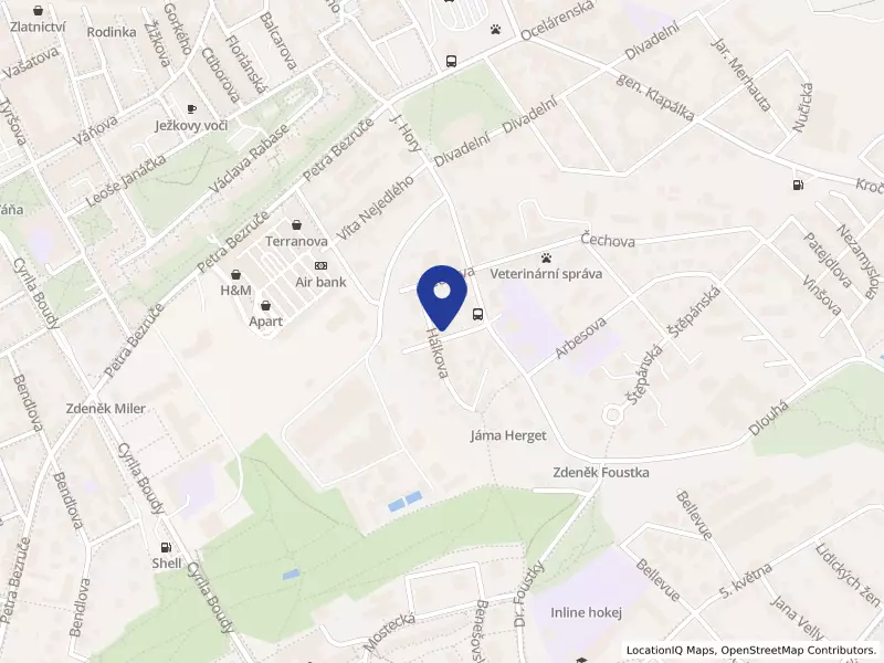 Orthounion s.r.o., Hálkova 1696, 27201 Kladno - Kladno, IČO 29687748