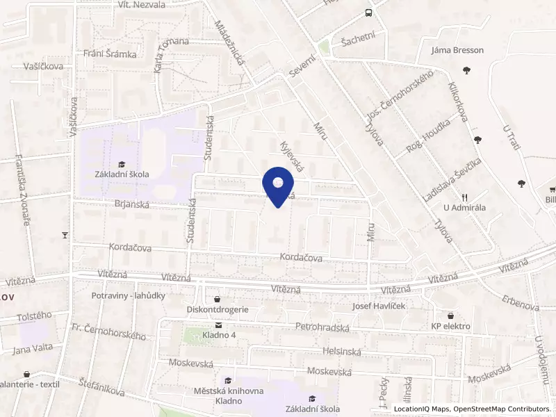 Středisko ROSA, z. s., Kladno, Římská 2846, 27204 Kladno - Kladno, IČO 46416463
