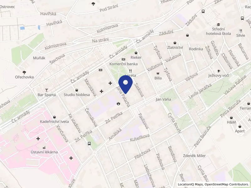 Zařízení sociální intervence Kladno, Jana Palacha 1643, 27201 Kladno - Kladno, IČO 71234489