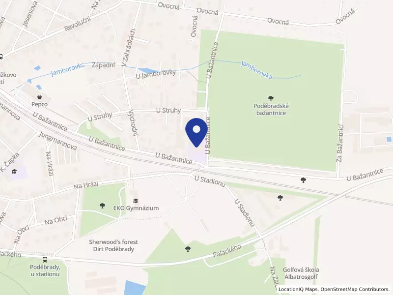 Speciální základní škola Poděbrady, příspěvková organizace, U Bažantnice 154/19, 29001 Poděbrady - Poděbrady III, IČO 70837091