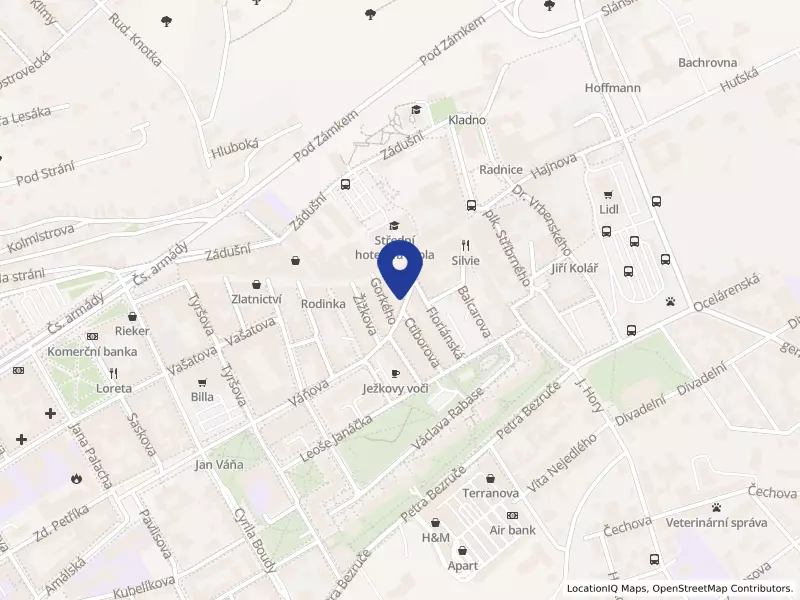 Trepetica s.r.o., Váňova 322, 27201 Kladno - Kladno, IČO 24291099