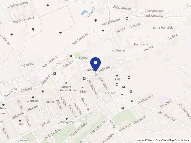 Družstvo JEDNOTA KLADNO, náměstí starosty Pavla 42, 27201 Kladno - Kladno, IČO 00031755