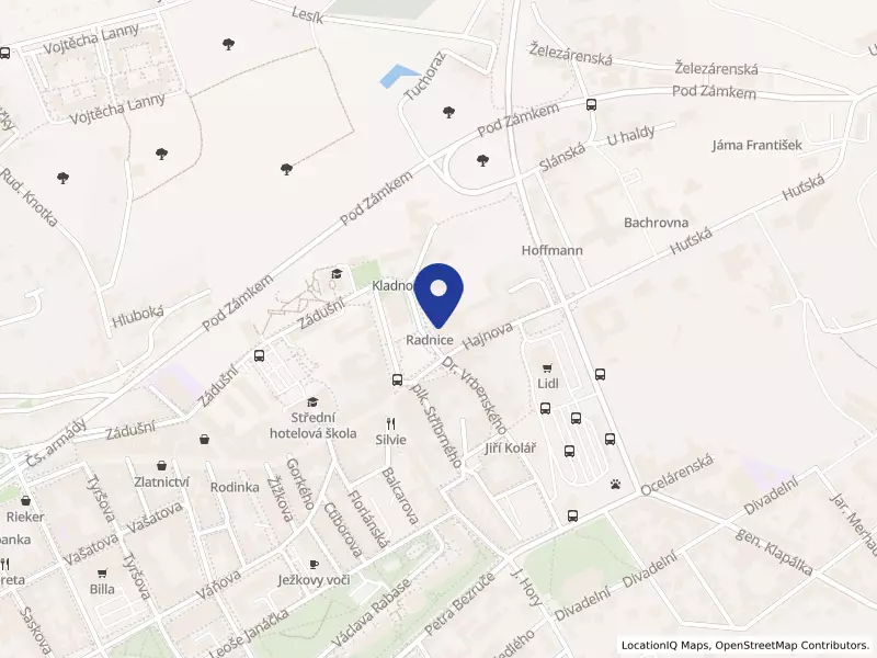 Statutární město Kladno, náměstí starosty Pavla 44, 27201 Kladno - Kladno, IČO 00234516