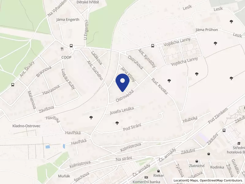 SNS Servis, s.r.o., Jindř. Soukupa 2240, 27201 Kladno - Kladno, IČO 24783862